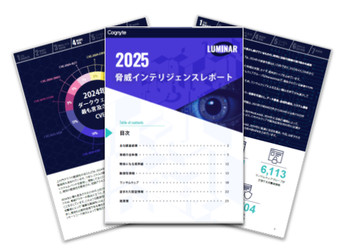 【WP】2025 脅威インテリジェンスレポート（6/26）